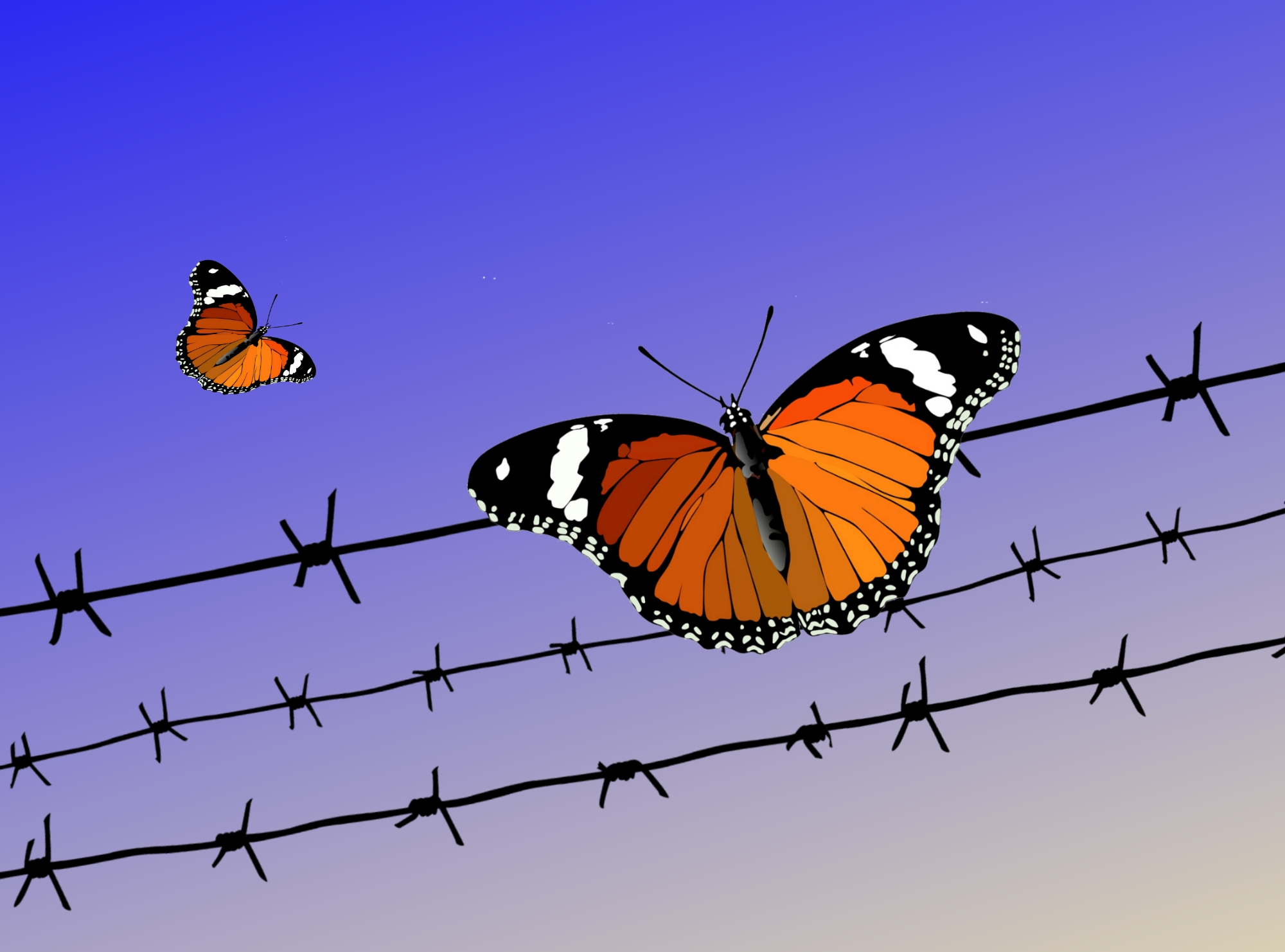 Resisting the Border Podcast, Episode 1