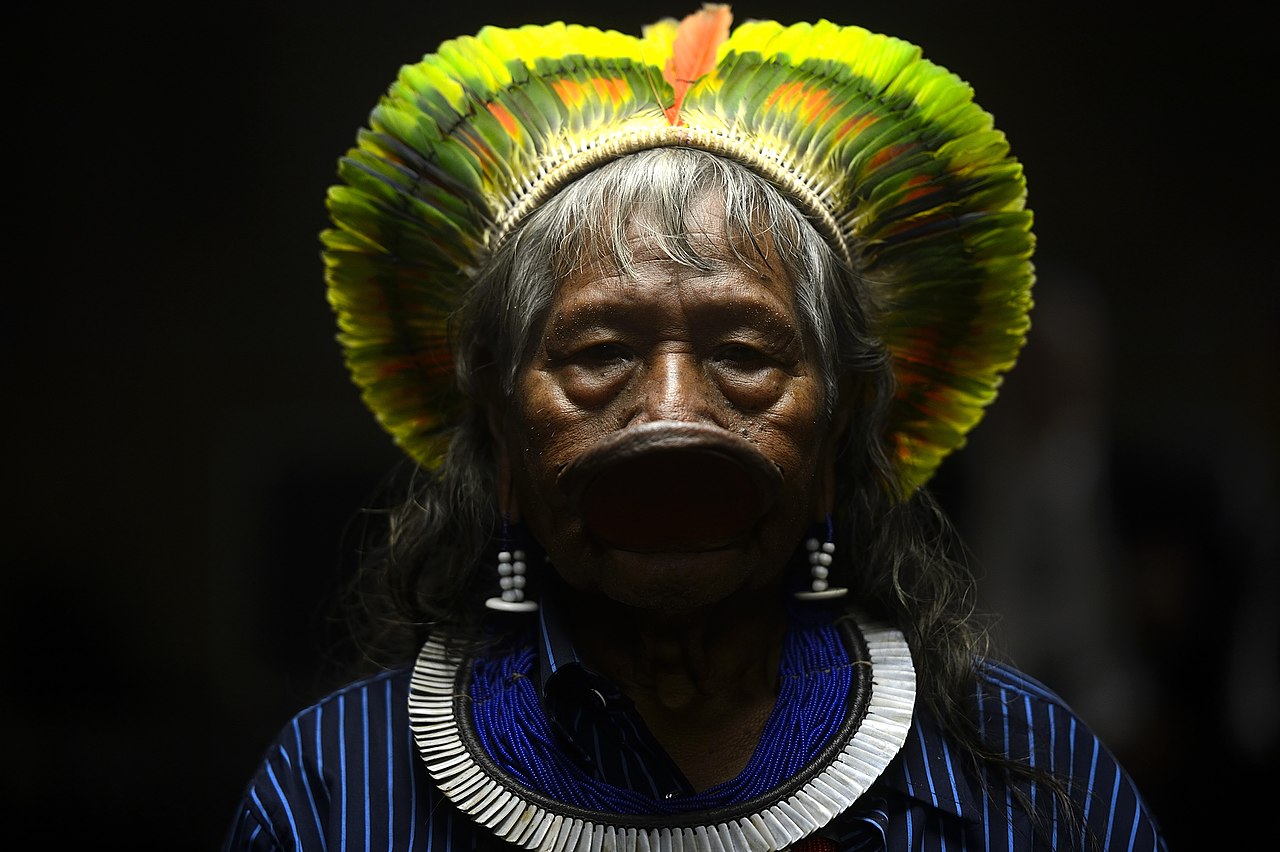 Indigenous Rights Report