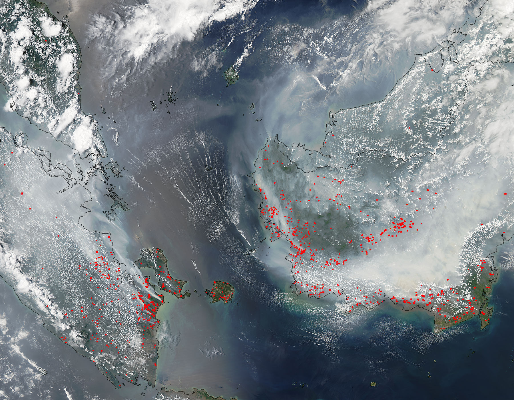 How Indigenous youth are fighting the Indonesian fires