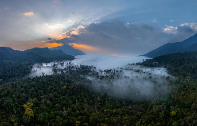 Fog over the Amazon Rainforest at Dusk