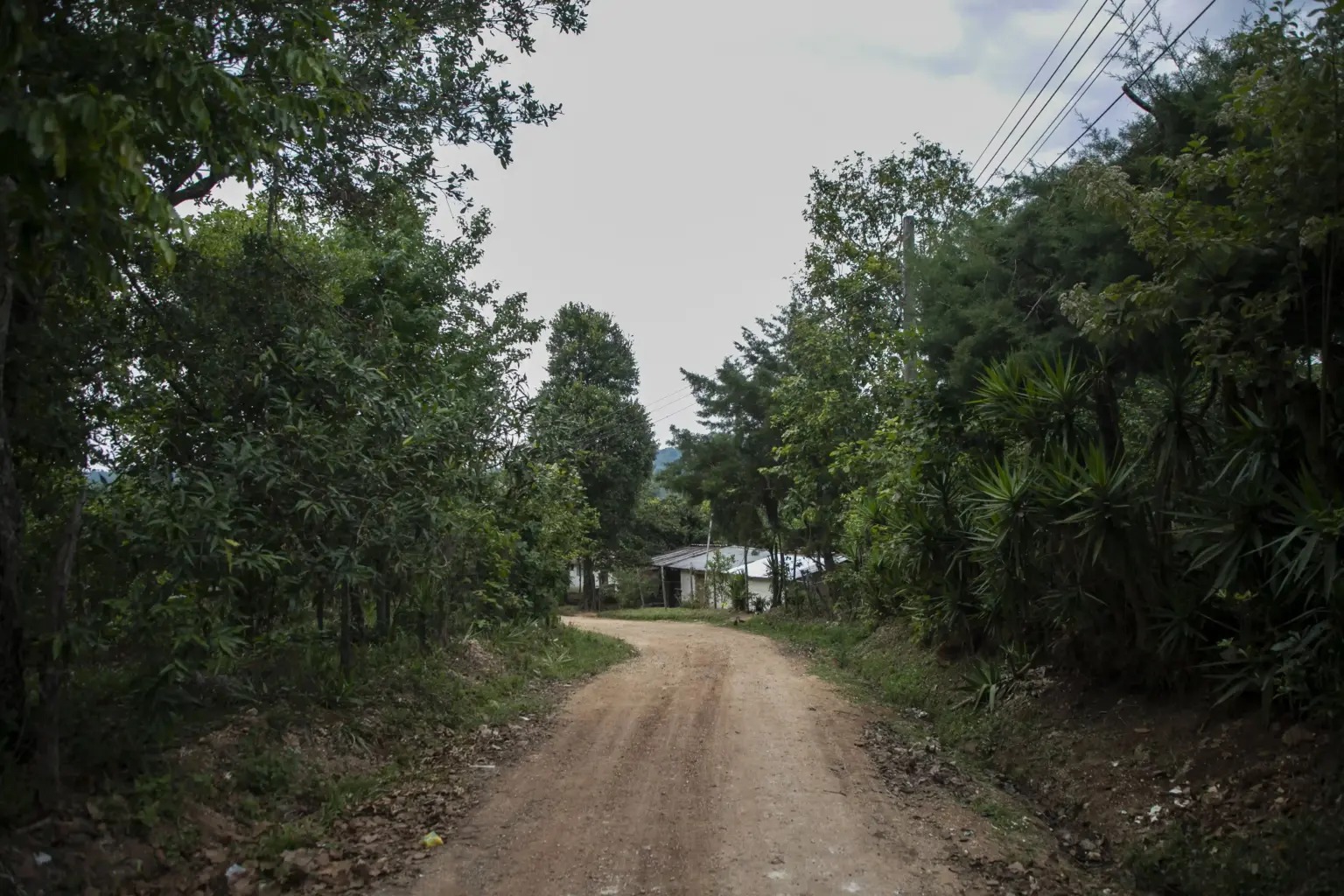 Abusos de autoridad el salvador marcala 38 1536x1024