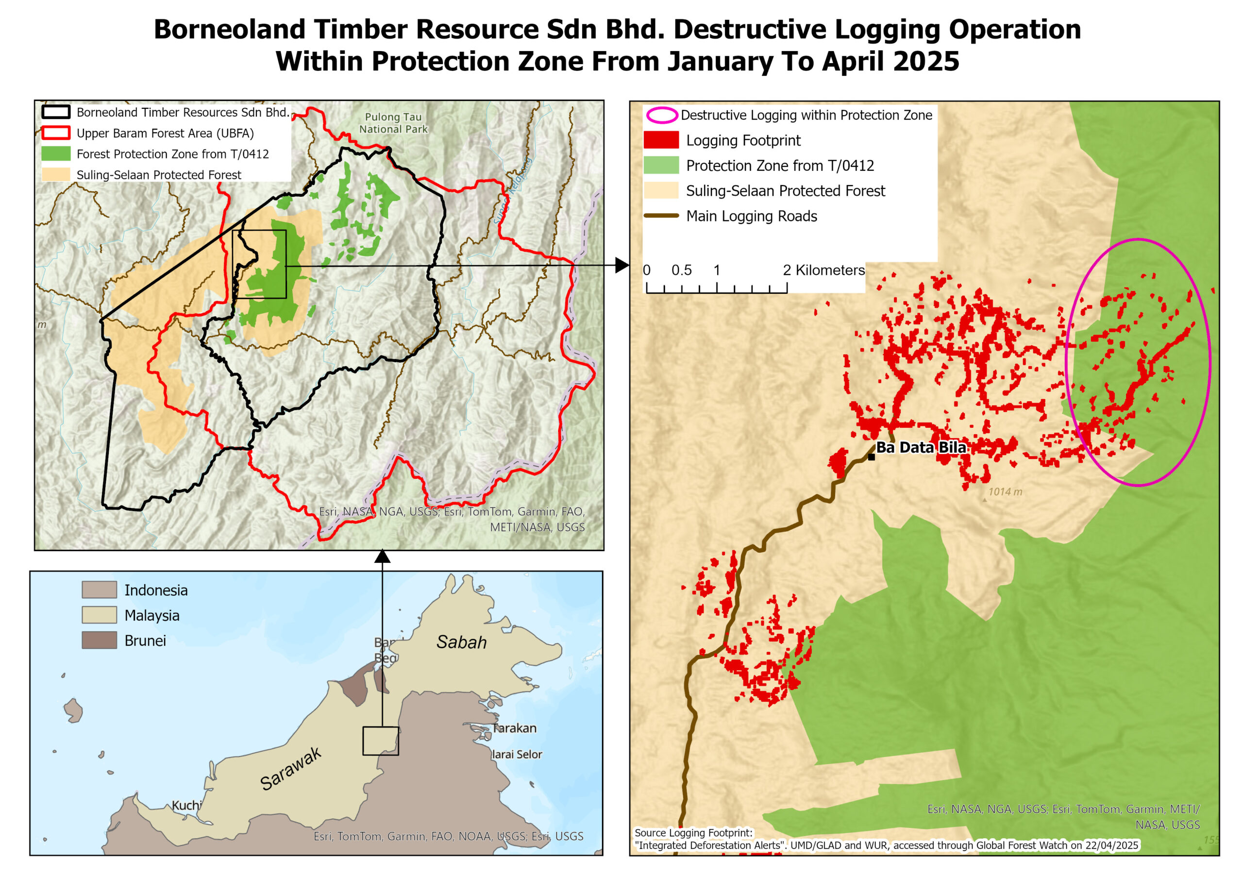 Map1 destructive logging operations of borneoland within protected forest 2025