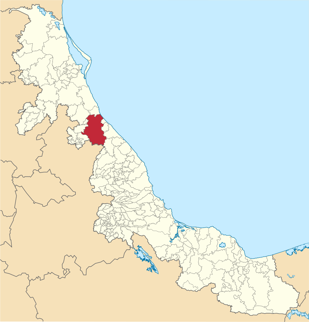 Mexico veracruz papantla location map.svg