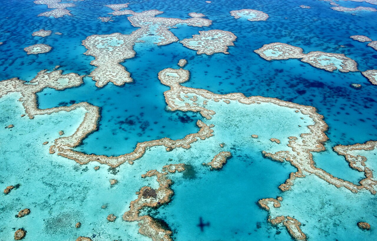 The dazzling colours of the great barrier reef near airlie beach, whitsunday islands, queensland