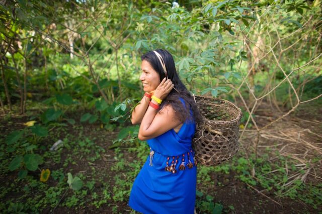 A shuar woman tending to a garden project phil borges danita delimont alamy bb3dm3 1400x934