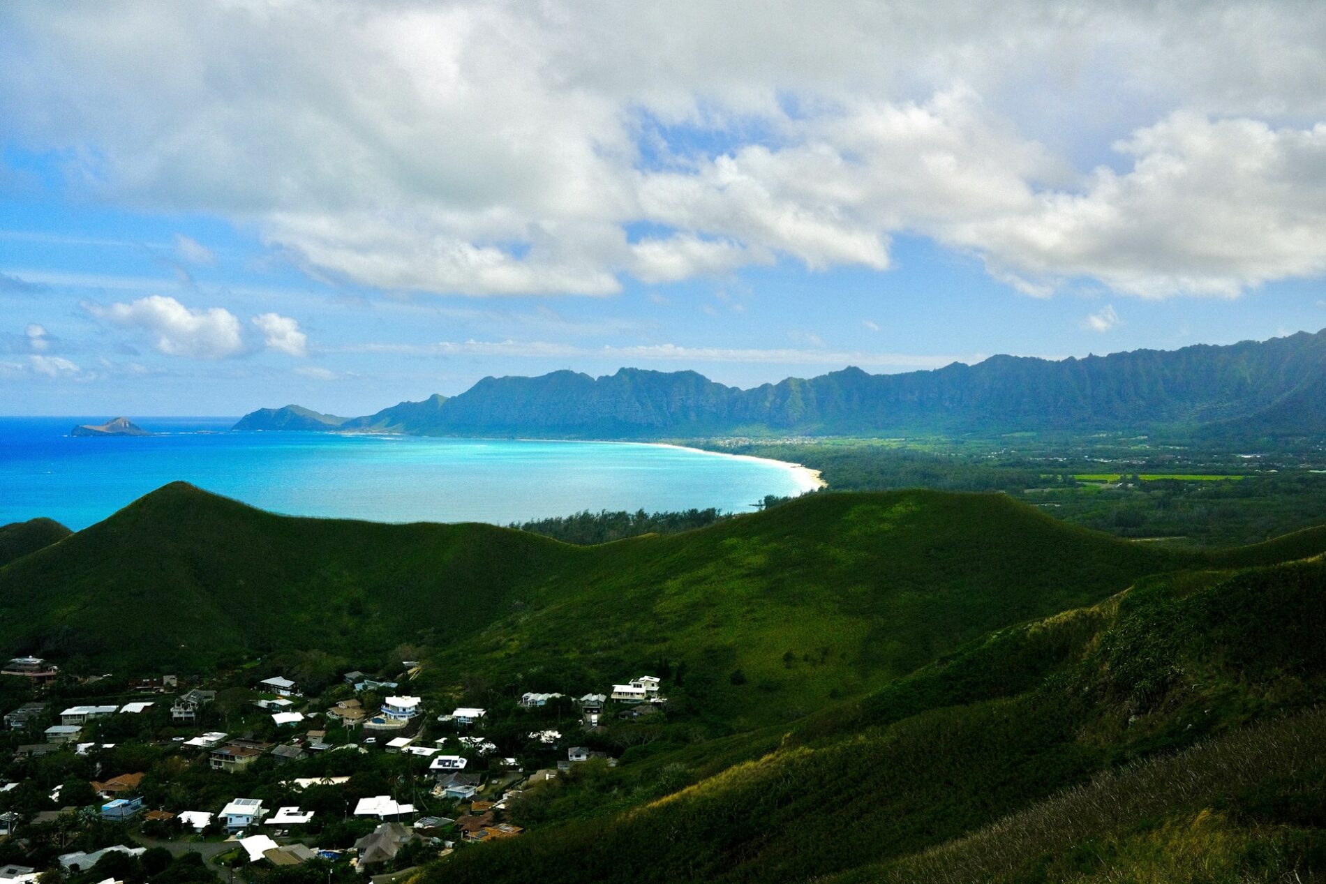 Sandy jiang 2wdzlkr5yaq unsplash