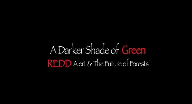 A Darker Shade of Green