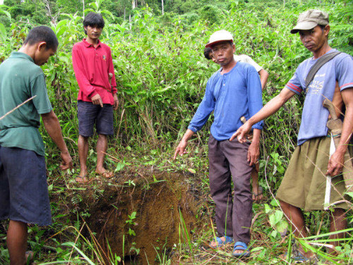 Palawan Biosphere Reserve Shouldn’t Be Open For Business