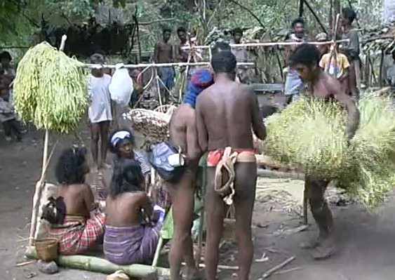 Stop Mining Palawan Forest Philippines