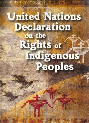 United Nations Declaration on the Rights of Indigenous Peoples