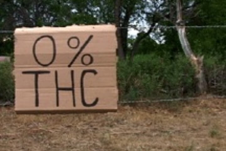Hemp 11.jpg