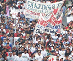 Marcha atenco 1 copy.gif
