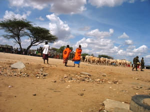 Residents of Archer's Post watch helplessly as police take away their cattle and their economy