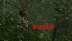 Indigenous Resilience