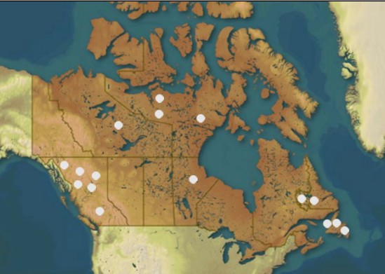 Tailings impoundment areas