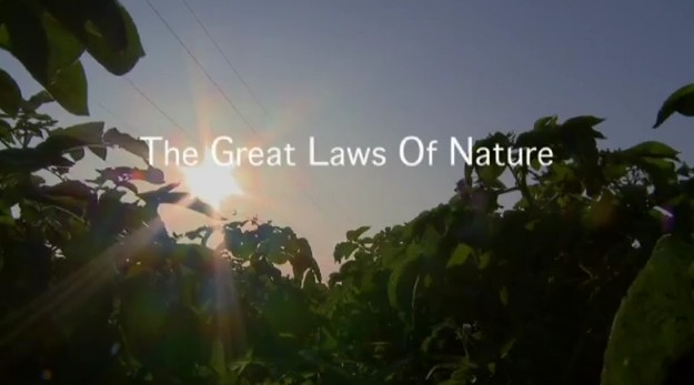 The great laws of nature