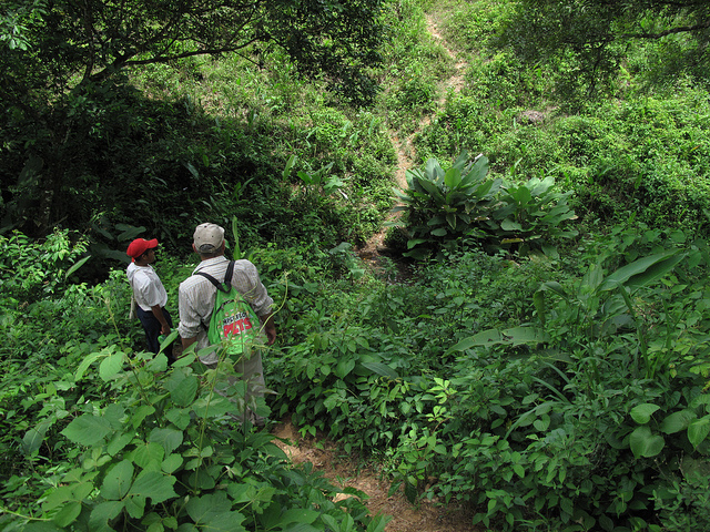 Bagama and Comarca free from hydroelectrics